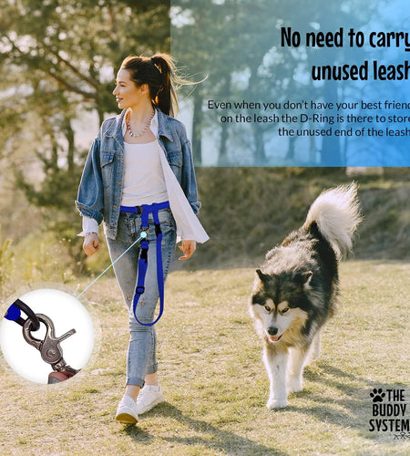 Hands Free Dog Leash, Adjustable Leash for Running, Jogging, Training and Service Dogs, Great for Small, Medium and Large Dogs, Made in USA (Royal Blue, Large Belt (27"- 50" Waist))